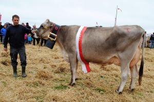 Miss Einsiedeln_Alino Anabel_Roland Klin Euthal